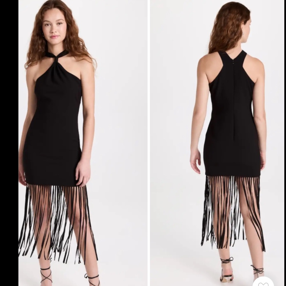Nwot LIKELY Noreen fringe Dress sz 4 #VV
